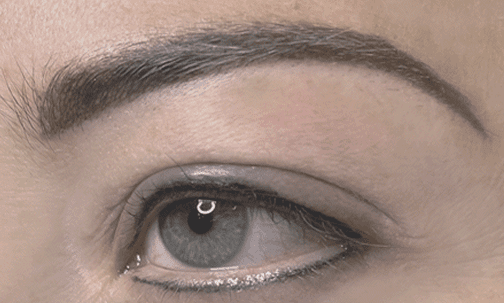 POWDER BROWS
