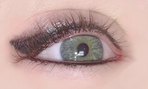 Permanent Eyeliner by CINDY ARCHER, C.A.A.M. of Permanently Beuaitful LLC in Missoula, Montana
